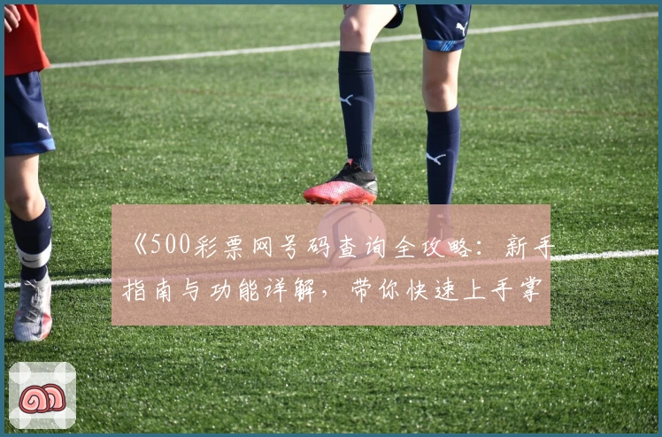 《500彩票网号码查询全攻略：新手指南与功能详解，带你快速上手掌握核心玩法》